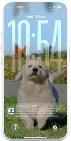 Mobile App Images (247 x 489 px)-1
